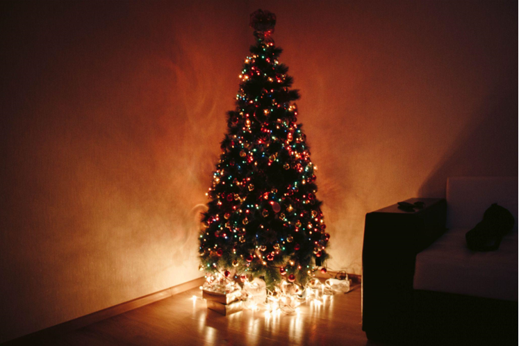 Brighten Your Holidays with a Prelit Christmas Tree